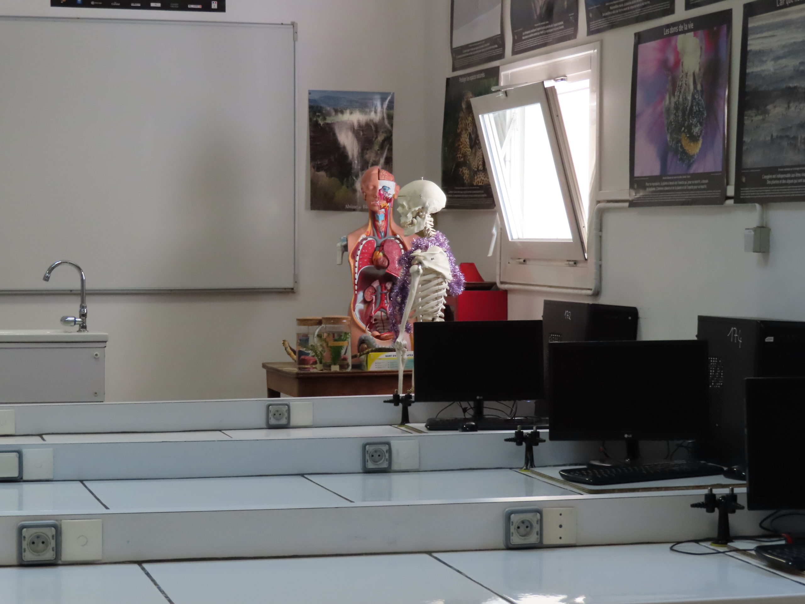 Labo sciences